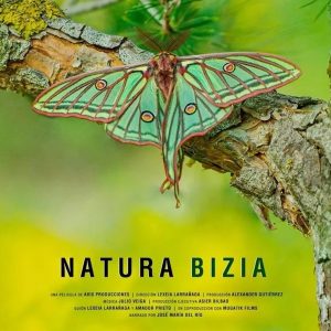 yfAi4NcMx9xMI39hz1giiWZrO5J